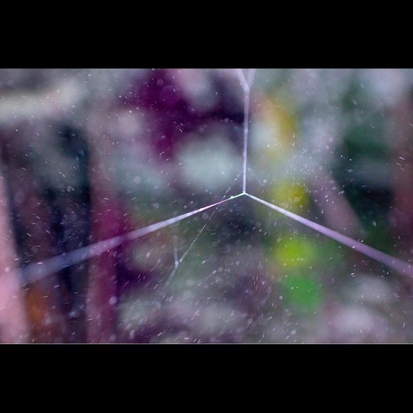 Meet your Posher, Lauren - Picture 5 of 7